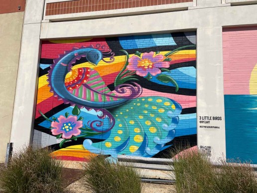 Richard Janusz / 3 Little Birds